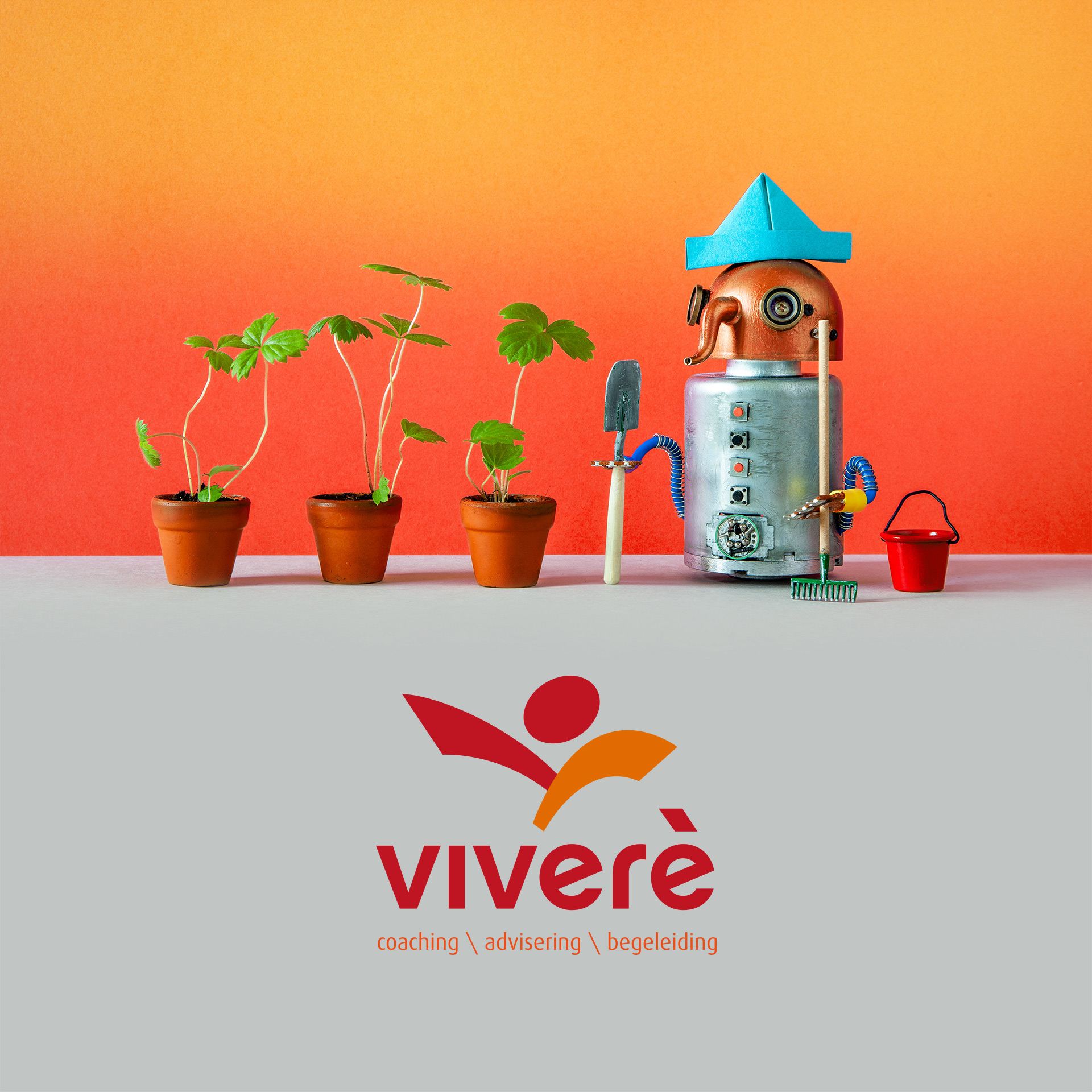 vivere-home-1